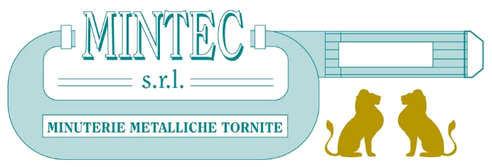 MINTEC S.R.L. — Minuterie Metalliche Tornite